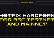 Hotfix Hardfork for BSC Testnet and Mainnet