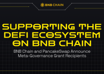 Supporting the DeFi Ecosystem on BNB Chain: Meta-Governance Grants Recipients Announced