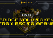 A Step-by-Step Guide to Bridging Assets from BSC to opBNB
