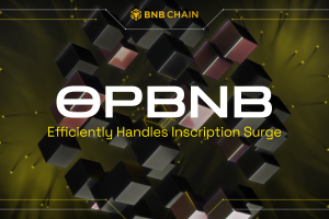 opBNB Efficiently Handles Surge in Inscription Activity, Proving Network Resilience