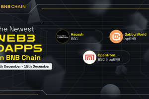 New Projects on BNB Chain (9th – 15th December)