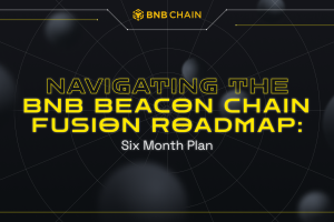 Navigating the BNB Beacon Chain Fusion Roadmap: Six Month Plan