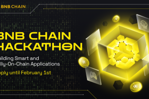BNB Chain Hackathon 2024 – Calling All Developers!