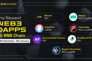 New Projects on BNB Chain (30th December – 5th January)