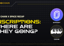BNB Chain X Space Recap – Inscriptions: Where Are They Going?