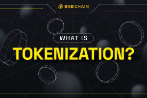 What Is Tokenization?