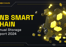 BNB Smart Chain Annual Storage Report 2024