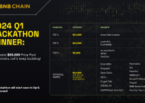 Celebrating Innovation: Winners of the BNB Chain 2024 Q1 Hackathon