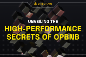 Unveiling the High-Performance Secrets of opBNB