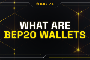 What are BEP20 Wallets?