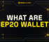 What are BEP20 Wallets?