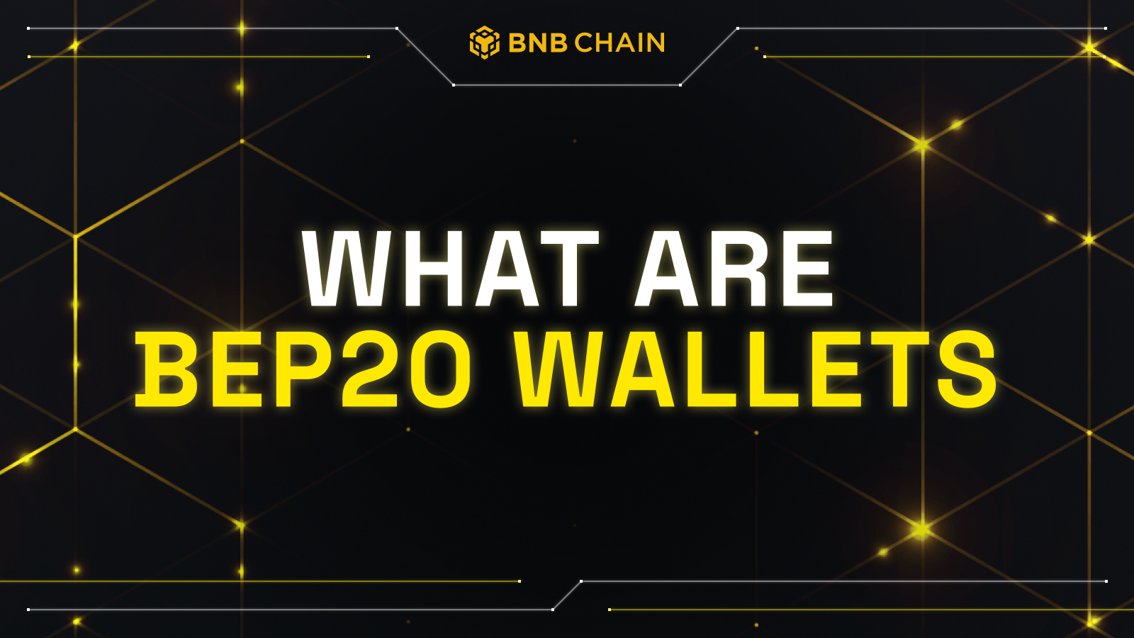 What Are BEP20 Wallets? - Binance Chain | BNB Smart Chain (BSC)