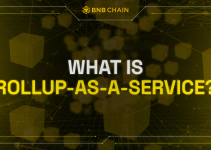 What is Rollup-as-a-Service?