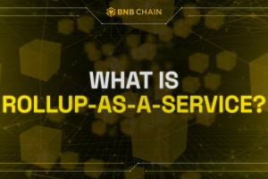 What is Rollup-as-a-Service?