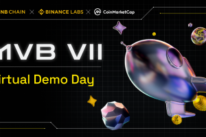 Join Us for the MVB VII Virtual Demo Day!