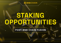 Staking Opportunities Post-BNB Chain Fusion