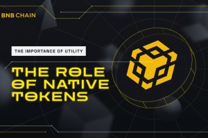 The Importance of Utility and the Role of Native Tokens