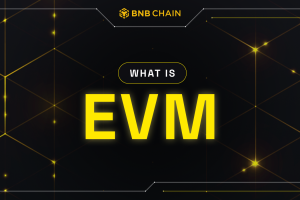 What Is Ethereum Virtual Machine (EVM)?