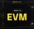 What Is Ethereum Virtual Machine (EVM)?