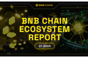 BNB Chain Ecosystem Report – Q1 2024