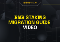 BNB Migration Video Guide