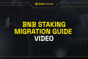 BNB Migration Video Guide