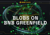 How To Use Blobs On BNB Greenfield