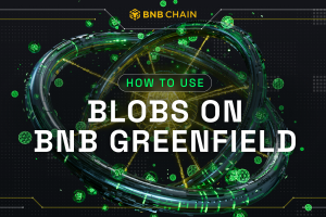 How To Use Blobs On BNB Greenfield