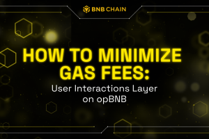 How to Minimize Gas Fees: User Interactions Layer on opBNB