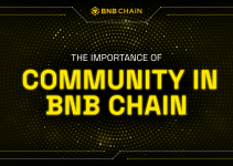 The Importance of Community in BNB Chain
