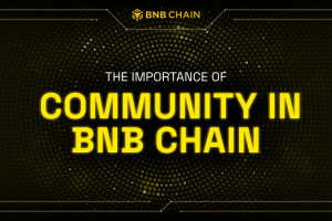 The Importance of Community in BNB Chain