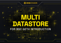 Multi Datastore for BSC Geth