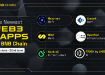 New Projects on BNB Chain (17th June – 22nd June)