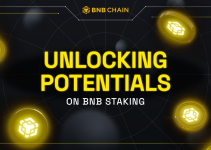 Unlocking Potentials on BNB Staking