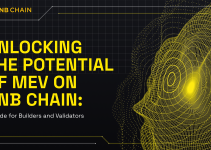 Unlocking the Potential of MEV on BNB Chain: A Guide for Builders and Validators