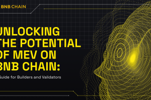 Unlocking the Potential of MEV on BNB Chain: A Guide for Builders and Validators