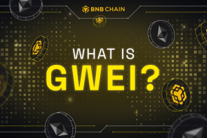 What is Gwei? Measuring Gas Fees In BNB Chain