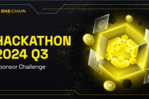 BNB Chain 2024 Q3 Hackathon: Become A Champion Builder – Sponsor Challenge