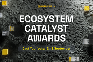 Cast Your Vote for the BNB Chain 4th Anniversary Ecosystem Catalyst Awards