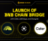 Introducing BNB Chain Bridge: A Leap Towards Seamless Cross-Chain Interoperability