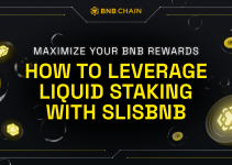 Maximize Your BNB Rewards: How to Leverage Liquid Staking with slisBNB