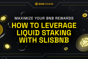 Maximize Your BNB Rewards: How to Leverage Liquid Staking with slisBNB