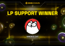 Announcing The Winner of the BNB Chain Meme Liquidity Support Program