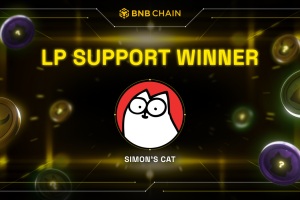 Announcing The Winner of the BNB Chain Meme Liquidity Support Program