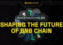 How Stablecoin are Shaping the Future of Payments on BNB Chain