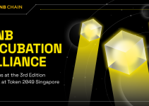 Join us at the 3rd Edition of BNB Incubation Alliance (BIA) at Token 2049 Singapore