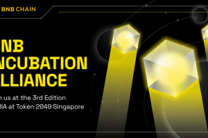 Join us at the 3rd Edition of BNB Incubation Alliance (BIA) at Token 2049 Singapore