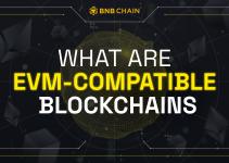 What Are EVM-Compatible Blockchains?