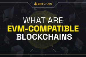 What Are EVM-Compatible Blockchains?