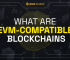 What Are EVM-Compatible Blockchains?